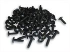 G1224-sbn-t10 Rackgold 12-24 Rack Screws 100