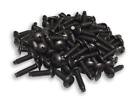 Gm5-sbn-t10 Rackgold Rack Screws Pack Usa Made 708315059972