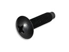 Gm6-sbn-t25 Rackgold M6 Rack Screws 708315060060