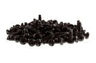 Rackscrew-10-32 Gruber Rack Screws 10-32