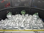 50 Kits! Huge Lot- Imperial Crossmember Rail 8 Nuts Nylon Washers 979. Fixed Price $235.00.