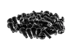 Rack Screws, 12-24 Thread, Phillips Head (qty 50) Lifetime Warranty. Fixed Price $13.42.