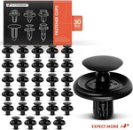 30PCS Engine Under Cover Push Pin Clips For Toyota Lexus Camry RAV4. Fixed Price $29.99.