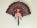Turkey Fan Mount Kit Hanger Beard Spurs Tom Jake Eastern Merriam Whitetail Elk. Fixed Price $36.00.